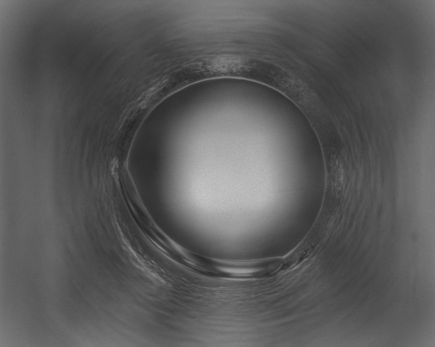 X0000054380356200508011259