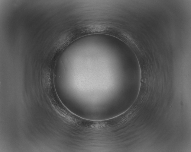 X0000054380362200508011300