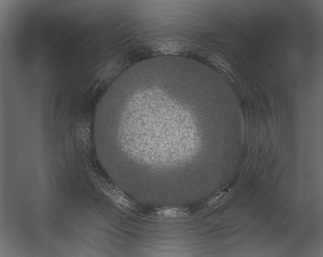 X0000054380365200508011300