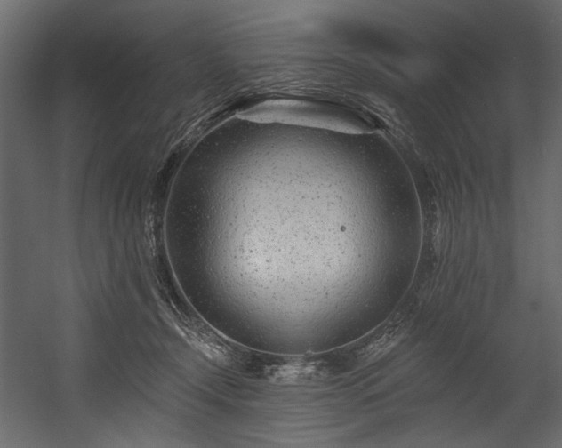 X0000054380366200508011300