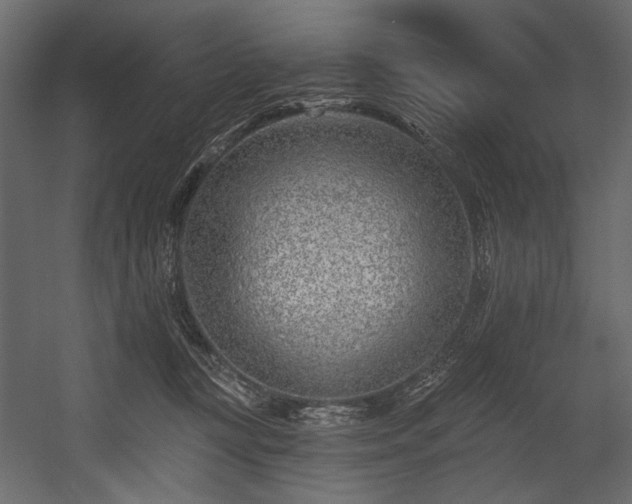 X0000054380367200508011300