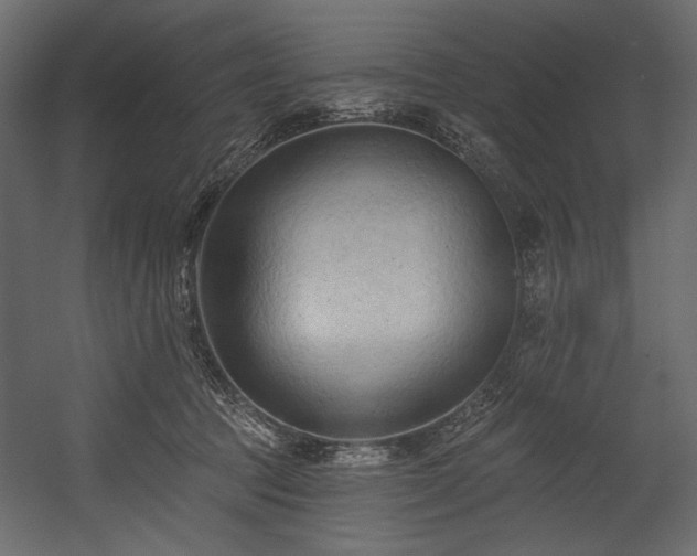 X0000054380369200508011300