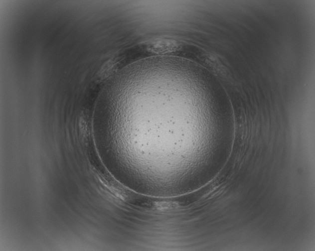 X0000054380371200508011300