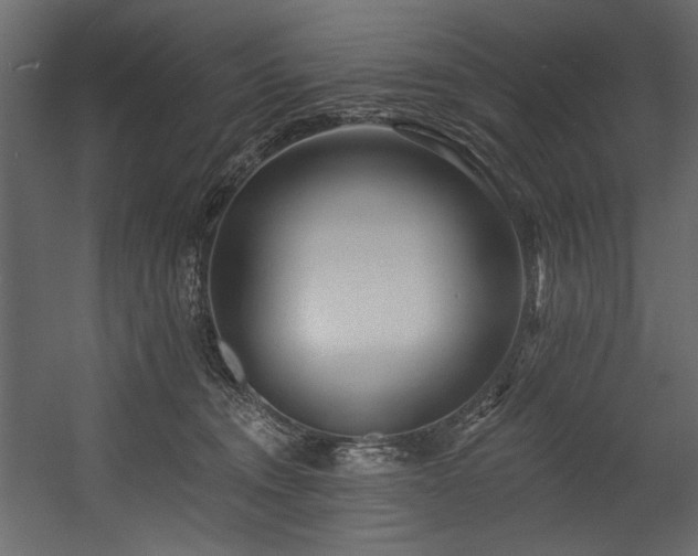 X0000054380372200508011300