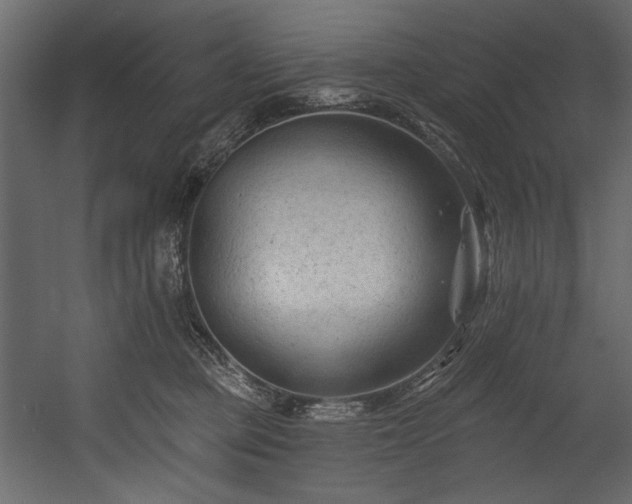 X0000054380373200508011300