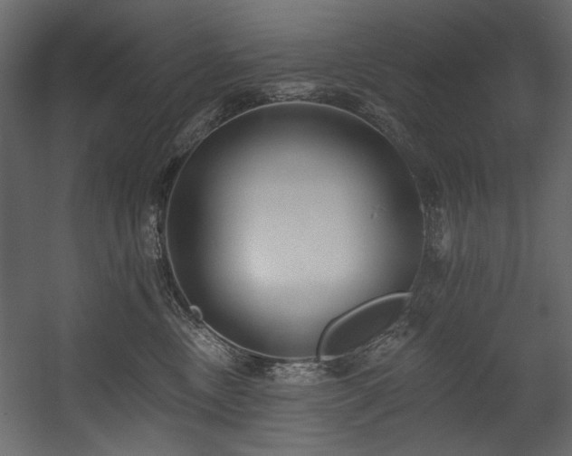 X0000054380378200508011300
