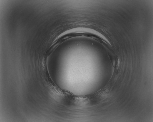 X0000054380380200508011300