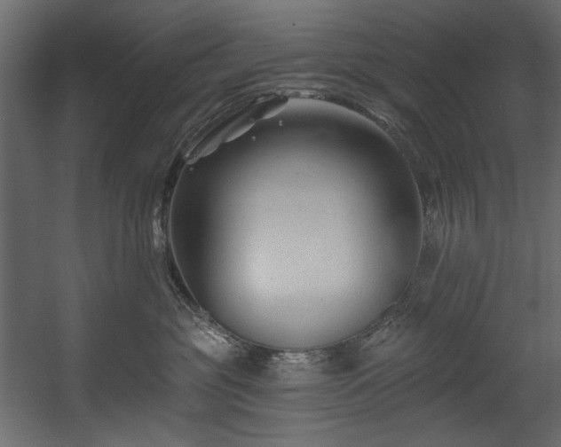 X0000054380381200508011300