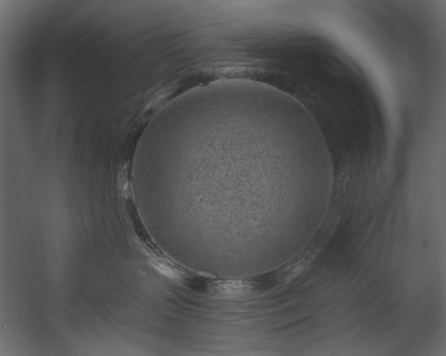 X0000054380383200508011300