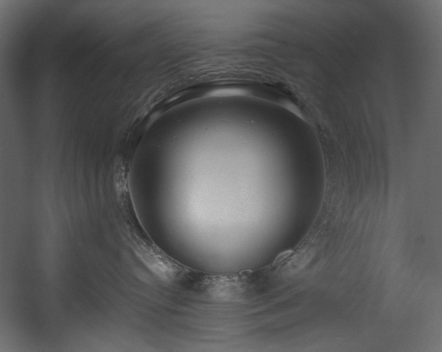 X0000054380384200508011300