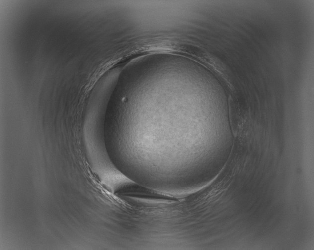 X0000054380385200508011259