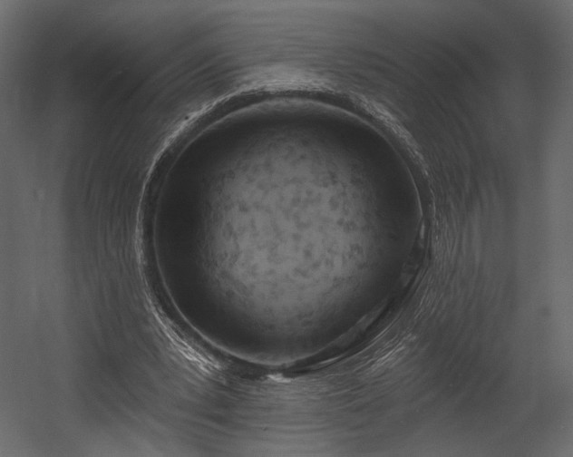 X0000054380391200508011259