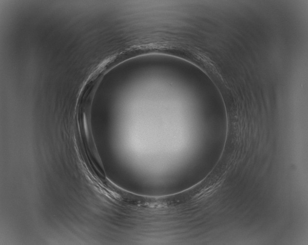 X0000054380395200508011259
