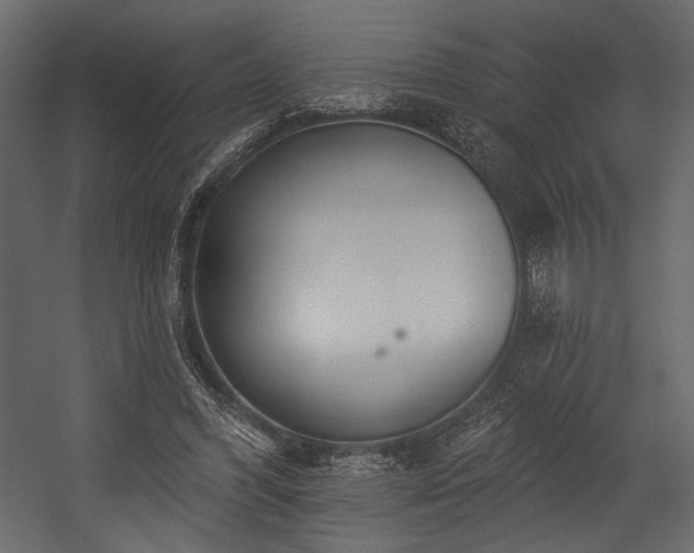 X0000054380396200508011259