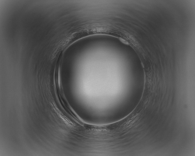 X0000054380401200508011259