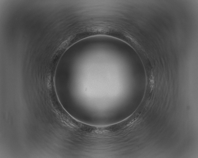 X0000054380403200508011259