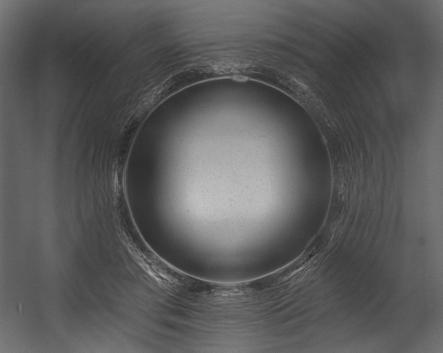 X0000054380405200508011259