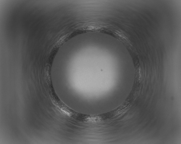 X0000054380415200508011259
