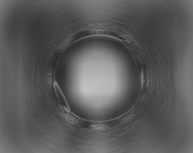 X0000054380417200508011259