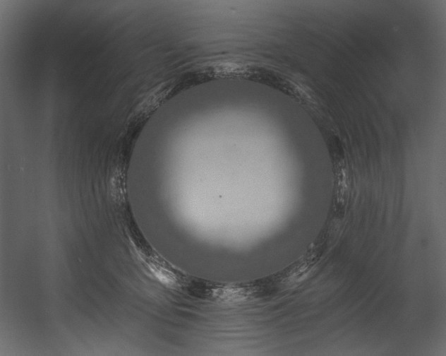 X0000054380419200508011259