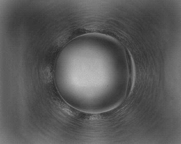 X0000054380420200508011259