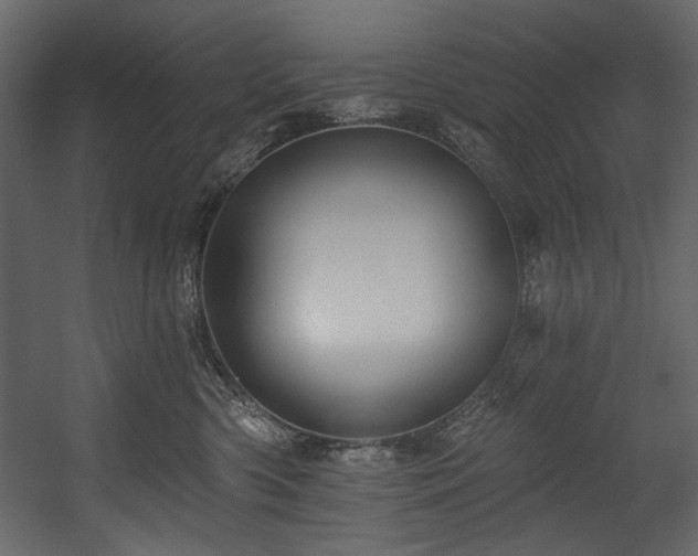 X0000054380426200508011258