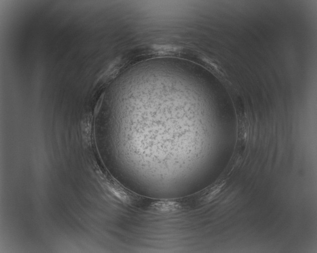 X0000054380427200508011258