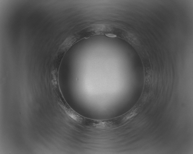 X0000054380430200508011258