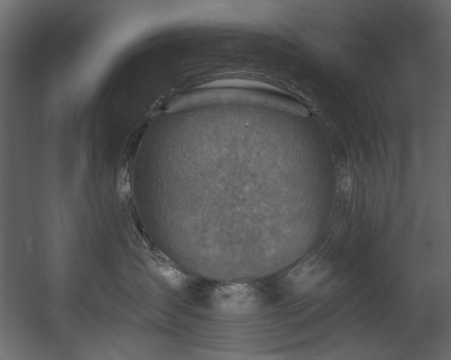 X0000054380431200508011258