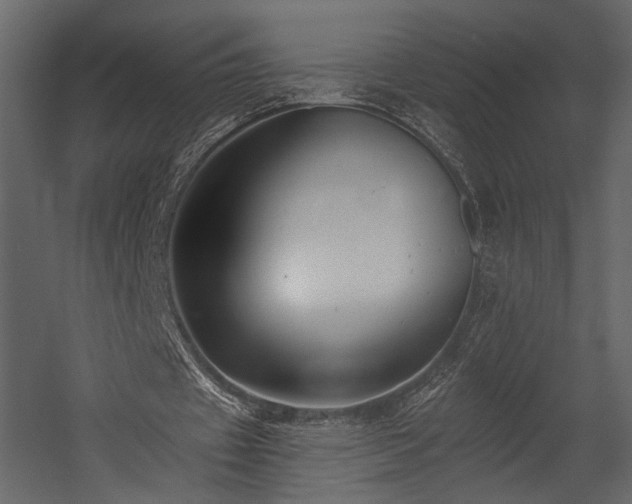 X0000054380433200508011257