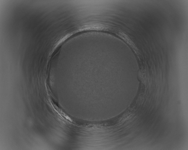 X0000054380434200508011258