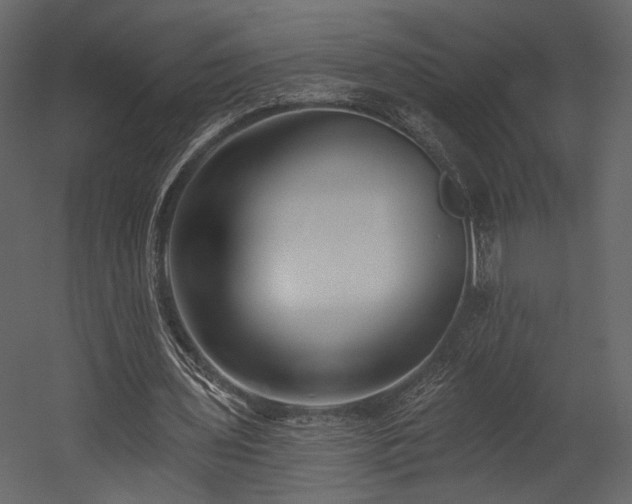 X0000054380435200508011258