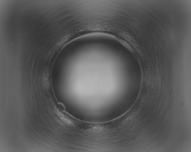 X0000054380441200508011258