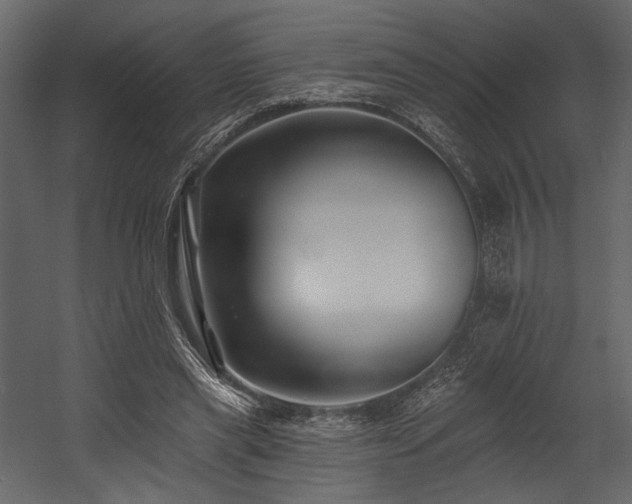 X0000054380445200508011258