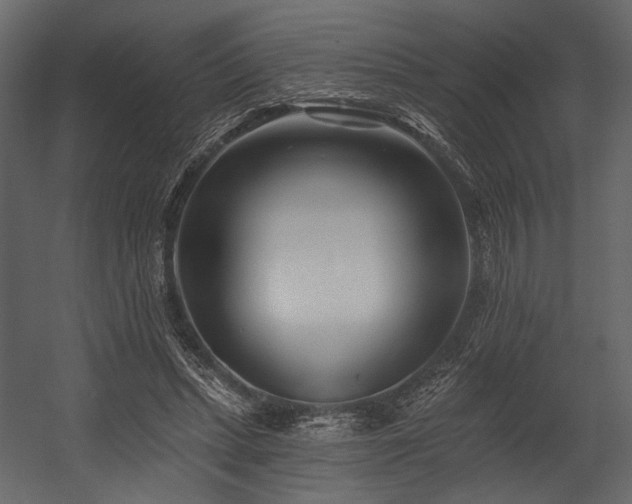 X0000054380447200508011258
