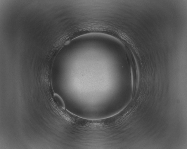 X0000054380449200508011258