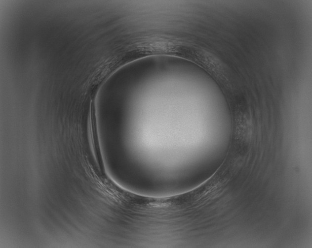 X0000054380457200508011258