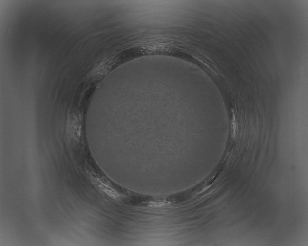 X0000054380458200508011258
