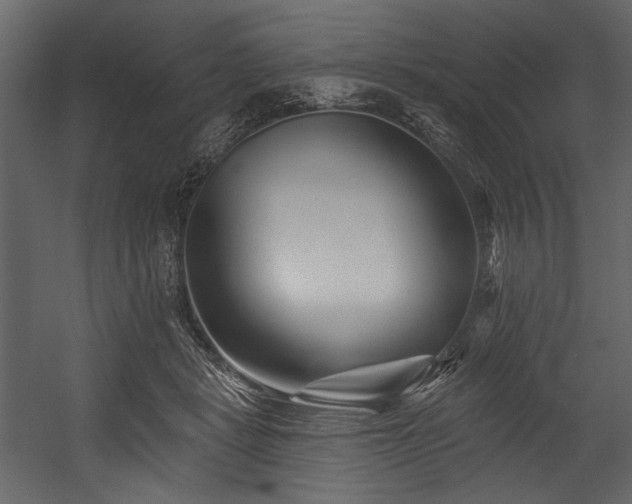 X0000054380461200508011258