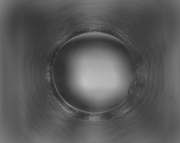 X0000054380462200508011258