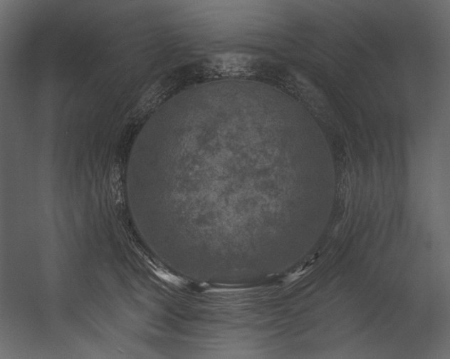 X0000054380465200508011258