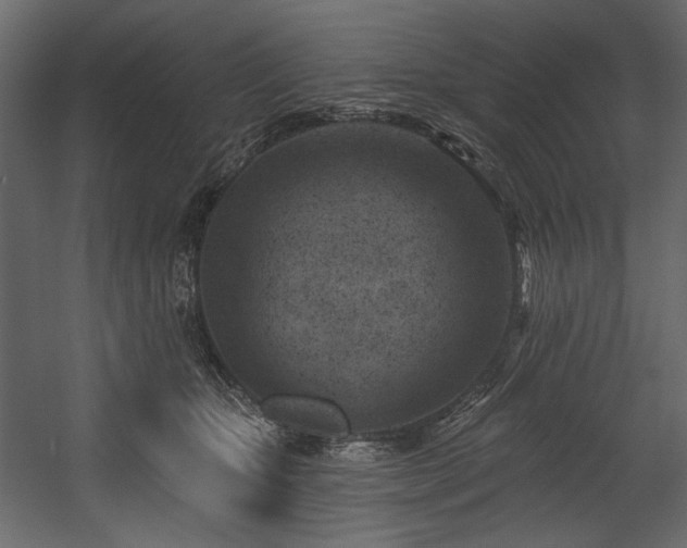 X0000054380467200508011258
