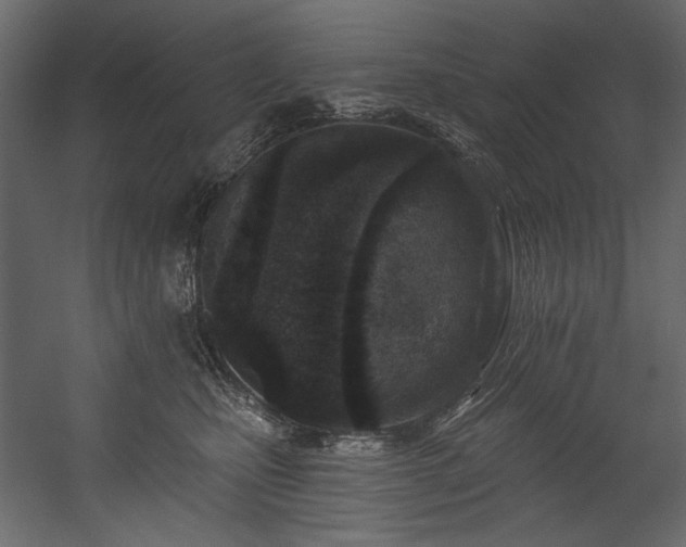 X0000054380471200508011258