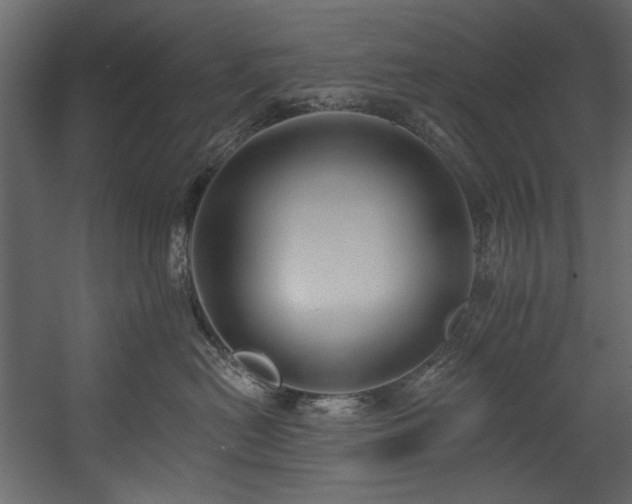 X0000054380478200508011258
