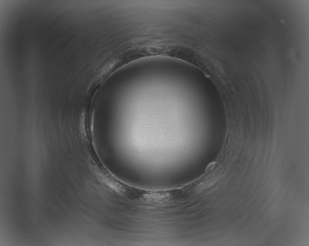 X0000054380480200508011258