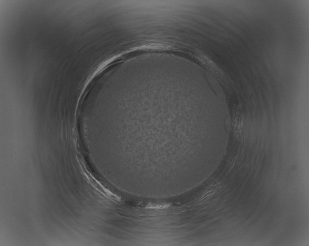 X0000054380484200508011257