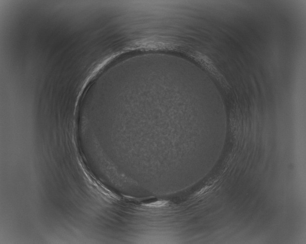 X0000054380488200508011257
