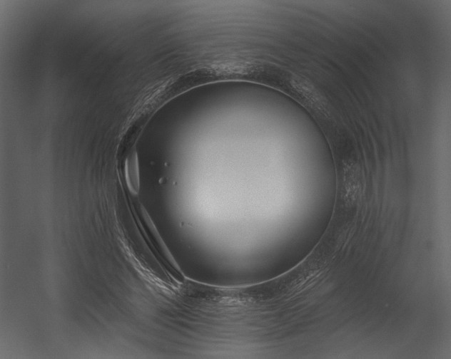 X0000054380494200508011257