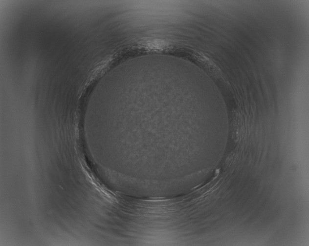 X0000054380496200508011257