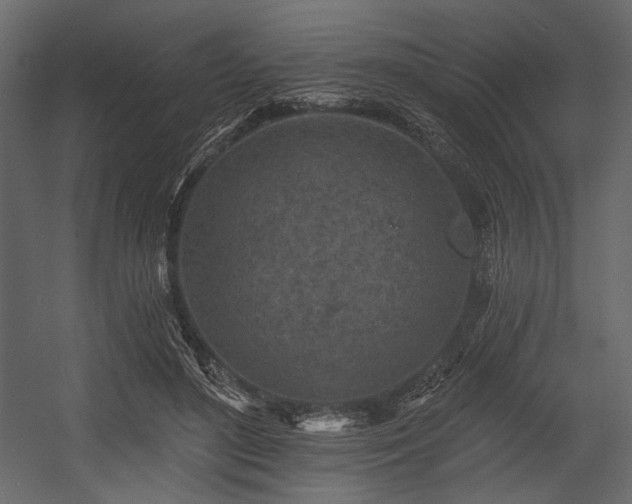 X0000054380500200508011257